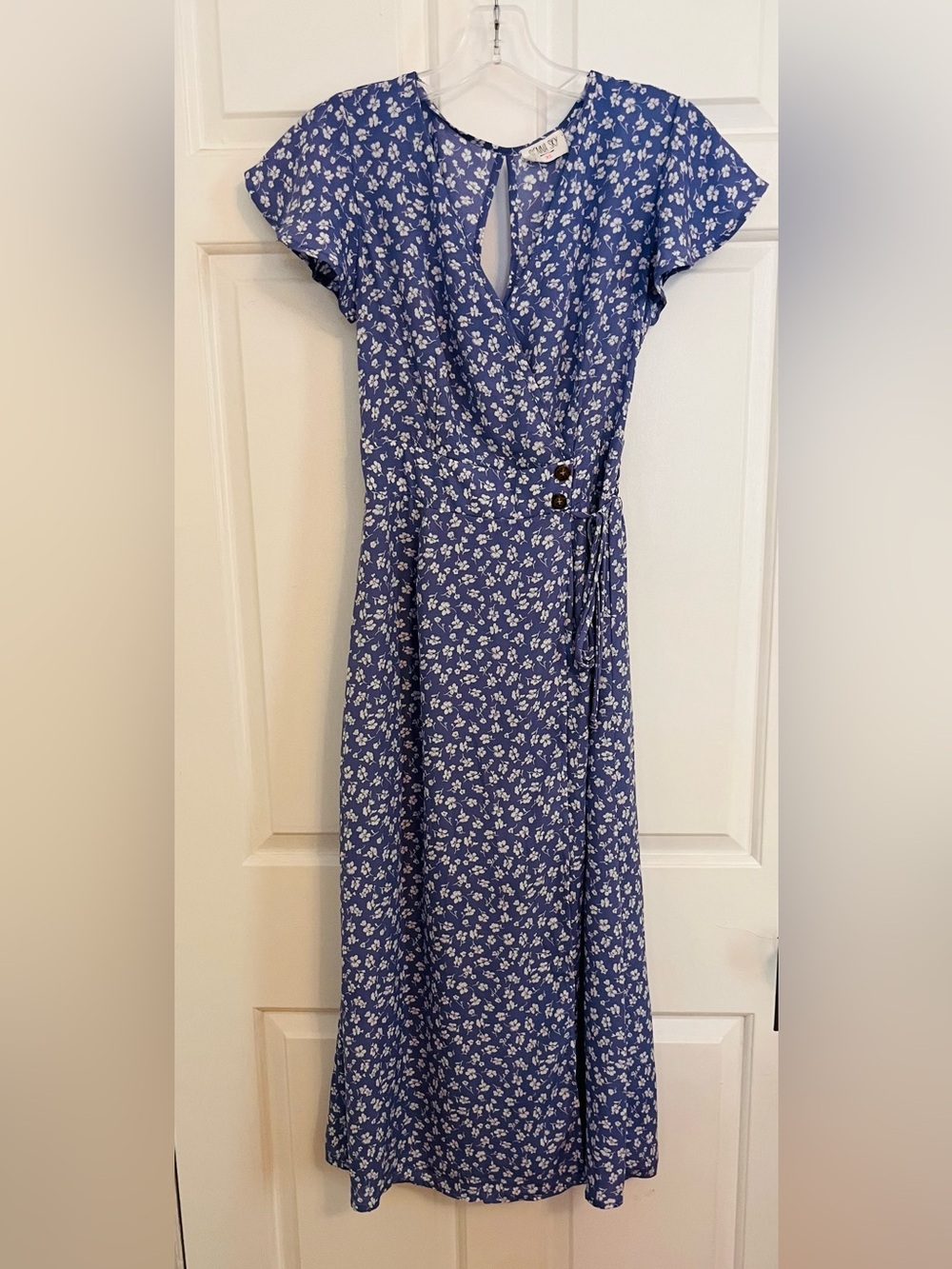 Sienna Sky Blue Floral V-Neck Maxi Dress
